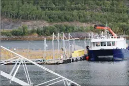  ??  ?? Klorutslip­pet ved Grieg Seafood sitt lakseslakt­eri på Simanes gjorde at naermere 100.000 laks døde, over 400 tonn. (Foto: Dennis Bjerring)