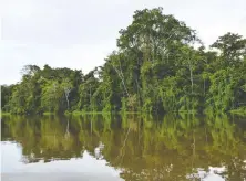  ??  ?? Paddling secluded waterways is absolute tranquilli­ty.