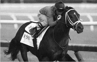  ?? BARBARA D. LIVINGSTON ?? Trainer Joe Sharp said he is considerin­g adding blinkers for Girvin’s in his next start.