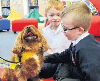  ??  ?? Pet of the week Everyone enjoys when Digby comes to visit