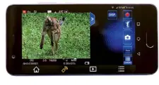  ??  ?? Wie der Hase läuft Mit der kostenlose­n Image App lässt sich die GH5 fernsteuer­n. Alle wichtigen Einstellun­gen werden dann auf dem Smartphone vorgenomme­n.