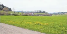  ?? FOTOS: SWE ?? So sieht das Gelände für den Solarpark östlich der Autobahn aus.