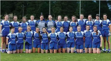  ??  ?? The St Pat’s team after their defeat of Baltinglas­s in the SFC semi-final. s