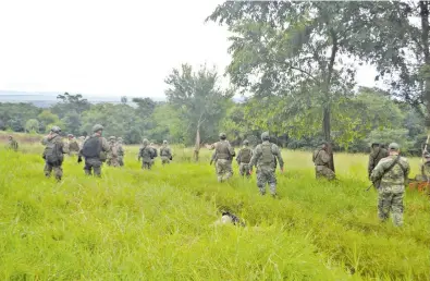  ??  ?? Policías del grupo táctico Halcón de Kurusu de Hierro avanzan en formación hacia el monte, dejando en el suelo un cadáver.