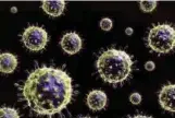  ?? (الإنترنت) ?? فيروس الأنفلونزا يمكن أن يكون قاتلا