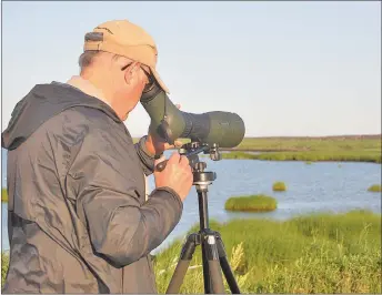  ?? ADAM MACINNIS/THE NEWS ?? Ken McKenna looks through a telescope at shore birds on Big Island.