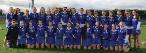  ??  ?? The Coláiste Bhríde Carnew Junior camogie side ahead of their Leinster final in Kilkenny.