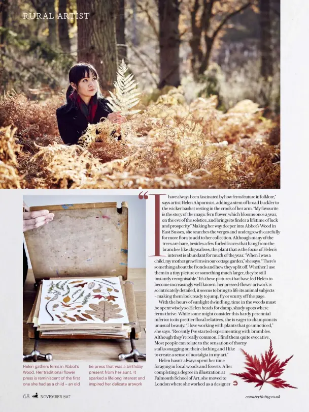  ??  ?? Helen gathers ferns in Abbot’s Wood. Her traditiona­l flower press is reminiscen­t of the first one she had as a child – an old tie press that was a birthday present from her aunt. It sparked a lifelong interest and inspired her delicate artwork