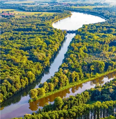  ?? Foto: Simon Bauer ?? Die Mündung des Lechs in die Donau bei Marxheim. Hier ist eine der wasserreic­hsten Gegenden Bayerns. Doch seit die Franken deutlich mehr aus Schwaben abzapfen wollen, gibt es Streit.