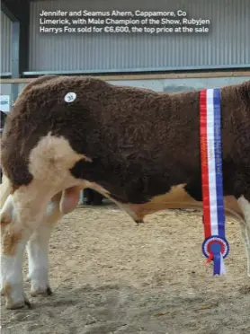  ??  ?? Jennifer and Seamus Ahern, Cappamore, Co Limerick, with Male Champion of the Show, Rubyjen Harrys Fox sold for €6,600, the top price at the sale