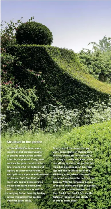  ??  ?? Right A curved yew hedge, separates an area of long grass and cow parsley from the herbaceous border, where four Irish yews, bought as mature specimens, punctuate more formal planting of Rosa ‘Roseraie de l’Hay’, Thalictrum ‘Elin’ and Valeriana...