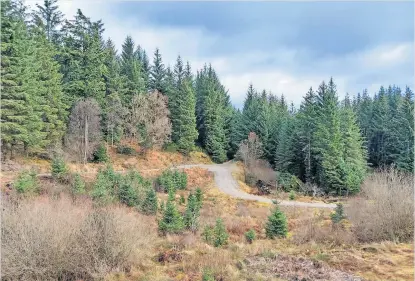  ?? ?? Reader picture Loch Ard Forest near Aberfoyle by Robert Duncan