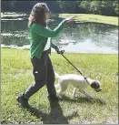  ?? Brian A. Pounds / Hearst Connecticu­t Media ?? Roxbury Land Trust Executive Director Ann Astarita walks her dog at the River Road Preserve in Roxbury last July.