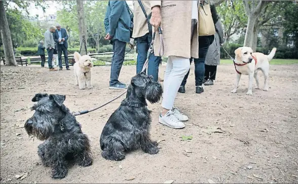  ?? ANA JIMÉNEZ ?? “Los míos van siempre con correa y se portan muy bien”, sostuviero­n ayer muchos vecinos de esta zona verde