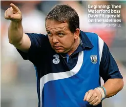  ?? SPORTSFILE ?? Beginning: Then Waterford boss Davy Fitzgerald on the sidelines