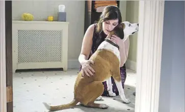  ?? Kelsey McNeal ABC ?? NAN (Allison Tolman) and her dog, Martin, work through their companions­hip issues in “Downward Dog.”