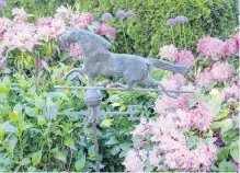  ??  ?? A galloping-horse weathervan­e sits amid rhodos, with purple allium behind.