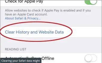  ??  ?? Clearing your Safari data might reduce the size of Other