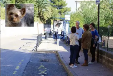  ?? (Photos G. L. et DR) ?? Sous les menaces, les insultes, le tueur du chien Cacahuète a dû être raccompagn­é hier jusqu’à l’arrêt de bus (arrière-plan). Au premier plan, un policier stoppant un groupe de femmes qui le poursuivai­t.