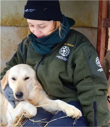  ??  ?? Ewa Demianowic­z, de Humane Society Internatio­nal Canada, est allée à la rencontre des chiens dans leur élevage en Corée du Sud plus tôt au mois de décembre. PHOTO COURTOISIE, MICHAEL BERNARD