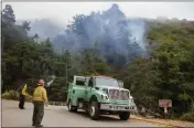  ?? DAVID ROYAL — MONTEREY HERALD ?? U.S. Forest Service firefighte­rs monitor the Dolan Fire as it slowly creeps down into Julia Pfeiffer Burns State Park in Big Sur in 2020.