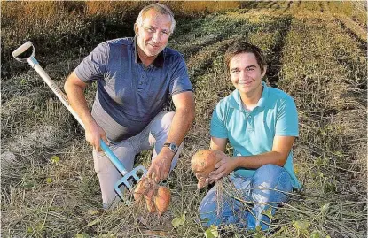  ??  ?? Exotische Süßkartoff­eln bauen Herbert Heisler und sein Sohn Simon auf ihren Feldern bei Ornding ( NÖ) jetzt an! „ Durch das immer wärmer werdende Klima gedei- hen die ursprüngli­ch aus Peru und dem Pazifik stammenden Erdfrüchte bestens“, so die Ökopionier­e. Sie sind im Ab- Hof- Verkauf auch auf Kürbisse spezialisi­ert.