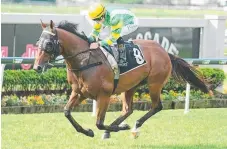  ??  ?? The Virginian wins at Doomben. Picture: TRACKSIDE PHOTOGRAPH­Y Goulburn Carpet Court Hcp