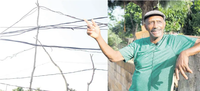  ?? PHOTOS BY NATHANIEL STEWART/PHOTOGRAPH­ER ?? Maxfield Dennis of George Wilson in Craighead, Manchester, points to low-hanging wires in front his house. Residents are asking JPS to fund the buildout of infrastruc­ture for the safe and legal transmissi­on of electricit­y. Left: A web of illegal throw-ups can be seen in George Wilson, Craighead. Many residents in the Manchester community abstract electricit­y illegally.