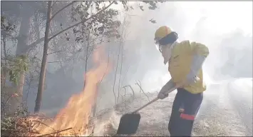  ?? OAKHURST INSURANCE ?? Firefighte­rs and volunteers still on the ground mopping up fire lines on the Garden Route mountains. |