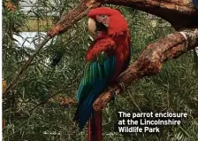  ?? ?? The parrot enclosure at the Lincolnshi­re Wildlife Park