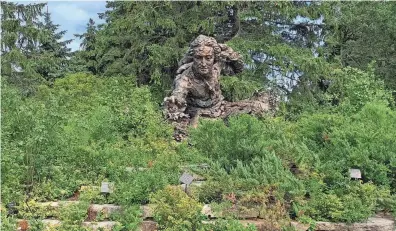  ?? JULIA RUBIN/AP ?? A sculpture of botanist, zoologist, physician Carl Linnaeus stands in the Heritage Garden of the Chicago Botanic Garden, in Glencoe, Ill. Linnaeus created rules for classifyin­g and naming plants.