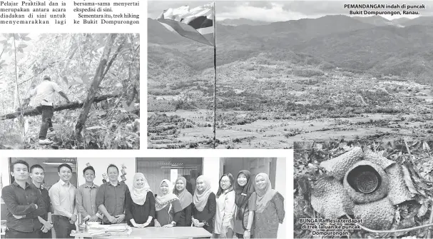  ??  ?? PEMANDANGA­N indah di puncak Bukit Dompurongo­n, Ranau. BUNGA Rafflesia terdapat di trek laluan ke puncak Dompuronga­n.