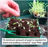  ?? ?? “A minimum amount of peat is needed for seed and potting compost” says Pete