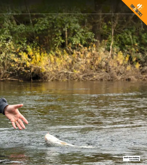  ??  ?? Small-river chubbing is so exciting.