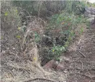  ??  ?? Hallazgo. La policía no explicó cómo fueron ubicados los restos del anciano ni el tiempo que tenía de fallecido.