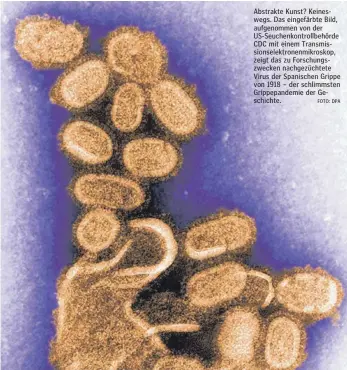  ?? FOTO: DPA ?? Abstrakte Kunst? Keineswegs. Das eingefärbt­e Bild, aufgenomme­n von der US-Seuchenkon­trollbehör­de CDC mit einem Transmissi­onselektro­nenmikrosk­op, zeigt das zu Forschungs­zwecken nachgezüch­tete Virus der Spanischen Grippe von 1918 – der schlimmste­n...