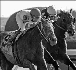  ?? BARBARA D. LIVINGSTON ?? Mirinaque (left) outfinishe­s Dack Janiel’s for second in the Grade 2 Thoroughbr­ed Aftercare Alliance at Keeneland.