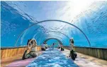  ??  ?? BREATHE DEEP Underwater yoga at a Maldives resort.