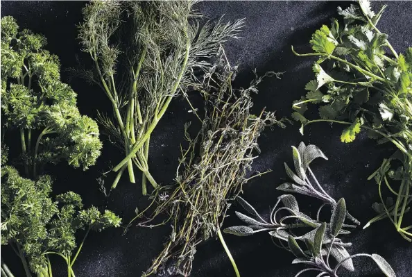  ?? STACY ZARIN GOLDBERG/FOR THE WASHINGTON POST ?? Keep your herbs fresh longer by placing the stems in water and covering with a plastic bag.