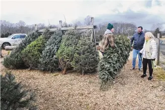  ?? Ned Gerard/Hearst Connecticu­t Media ?? Mark Guinta helps customers Kim O’Reilly, with her son James, of Redding, as they select a Christmas tree at Maple Row Farm in Easton last week. The Town of Easton has officially been named the Christmas tree capitol of Connecticu­t.