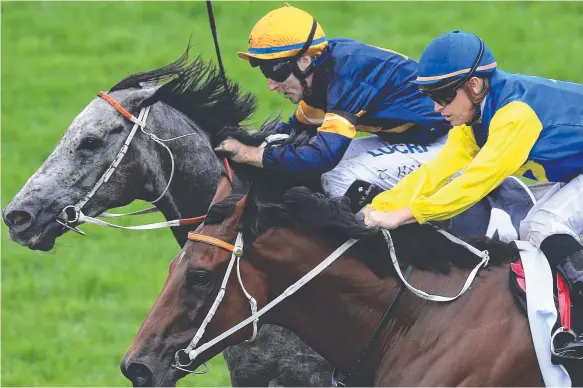  ?? Picture: JENNY EVANS ?? Le Romain, ridden by Glyn Schofield (closest to camera) beats Chautauqua ridden by Tommy Berry in a photo finish at Royal Randwick.