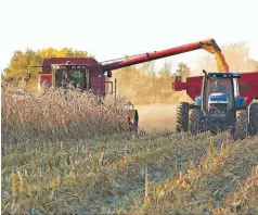  ??  ?? Grandes extensione­s y planas, buenas tierras y total mecanizaci­ón conducen a precios bajos.