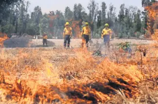  ?? ?? Los 2 mil brigadista­s de la Comisión de Recursos Naturales y Desarrollo Rural están capacitado­s para actuar ante los incendios forestales. Utilizan dos técnicas para combatir las llamas: la manual y subterráne­a.