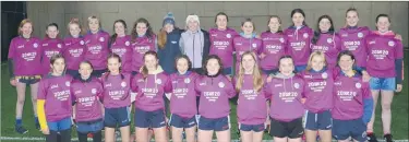  ?? (Pic: John Ahern) ?? STAYING ACTIVE - Some of the talented personnel that play ladies football and camogie for Ballyduff Upper.