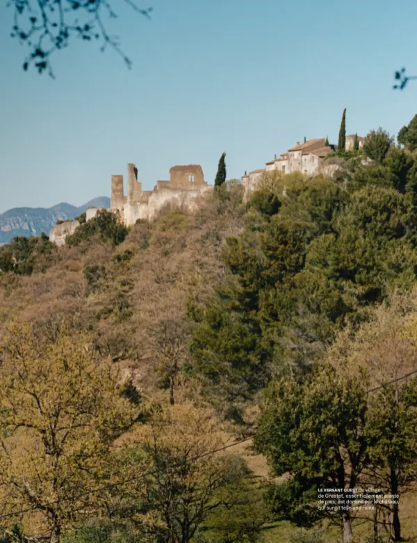  ??  ?? LE VERSANT OUEST du village de Crestet, essentiell­ement planté de pins, est dominé par le château, qui surgit telle une ruine.