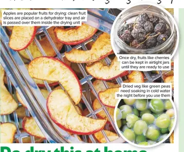  ??  ?? Apples are popular fruits for drying: clean fruit slices are placed on a dehydrator tray and air is passed over them inside the drying unit
Once dry, fruits like cherries can be kept in airtight jars until they are ready to use
Dried veg like green peas need soaking in cold water the night before you use them