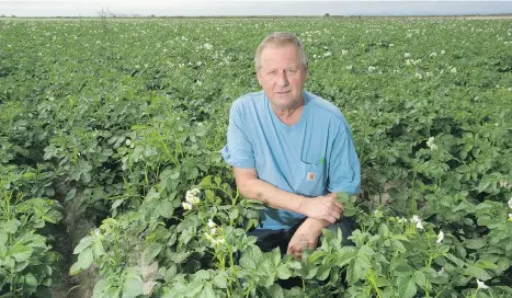  ?? JASON PAYNE FILES ?? Rod Swenson, a Delta potato farmer, says the province should set up a Delta land reserve “that could never be touched.”