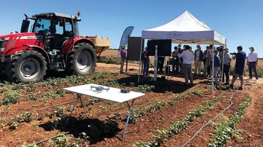  ??  ?? Drones y digitaliza­ción han pasado a formar parte del nuevo enfoque de la agricultur­a.