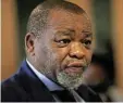  ?? ?? Mineral resources & energy minister Gwede Mantashe