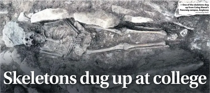  ?? Archaeolog­y Wales ?? > One of the skeletons dug up from Coleg Menai’s Pencraig campus, Anglesey